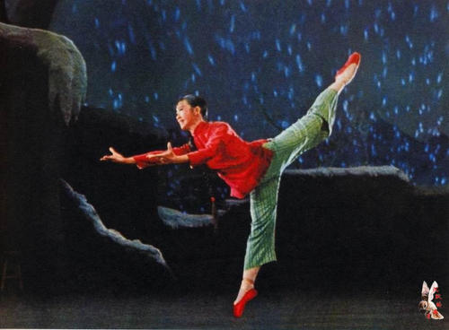 做个假南卡罗来纳州出生证明